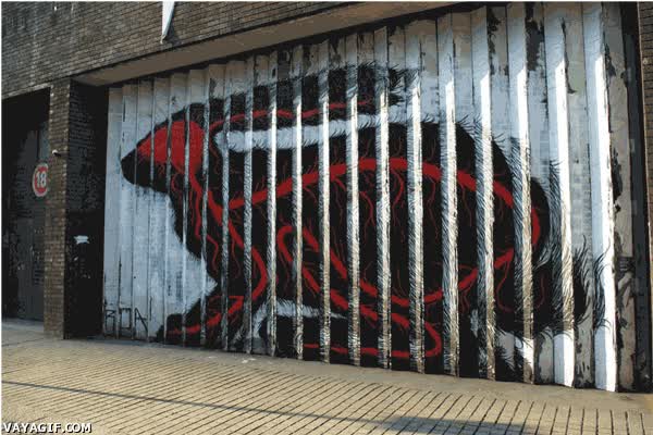 Pared Pintada,Color,Pared,Graffiti,Pintura,Cambiante