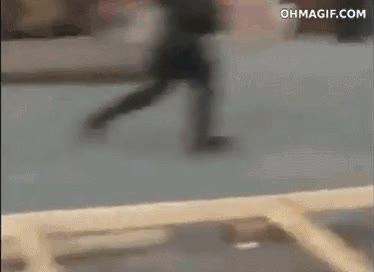 caer,pistola,polic&iacute;a,perro,pastor alem&aacute;n,perseguir