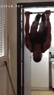 Haz ejercicio en casa, te ahorras la cuota del gimnasio y haces lo mism...¡PAM! Palo,Levantar,Caída Ejercicio.,Puerta