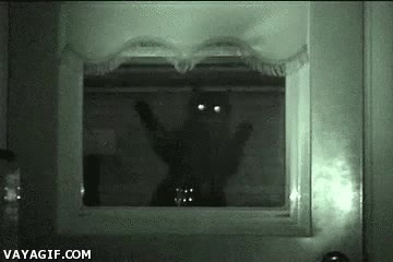 vision nocturna,gato,salto,ojos,noche,ventana