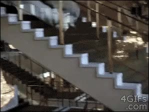 resbalar,boda,caida epica,lesiones,hospitalizada,novia,escaleras,rodar