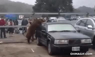jabal&iacute;,fornicar,coche,trinchera,montar,deposito