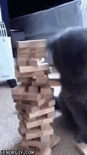 movimiento no valido,jenga,juego,gato,jugar