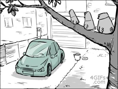 Coche,Lavar,Pajaros,Ladrones,Robar