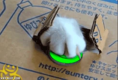 gato,casa,caja,moneda,carita feliz,pago,propina