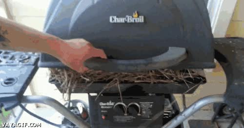 Pollitos,Pajaro,Nido,Barbacoa,Parrilla