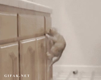 caj&oacute;n,abrir,ninja,agujero de gusano,gato