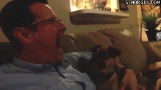 cachorro,perro,dueño,contagio,bostezo,sueño
