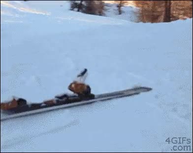 Huir,Perder,Esquis,Esquiar,Nieve,Fail,Saltar