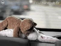 coche,altavoces,subwoofer,vibracion,altavoz,hacer el amor,peluche