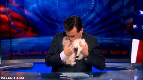 cariño,besar,programa,conductor,presentador,gato