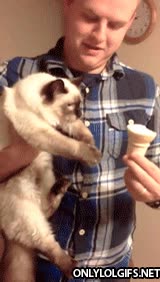¡Trae! ¡Trae p'acá! ¡Que traigas, joder! Oh, que delicia... gusto,delicia,joder,dueño,gato,helado