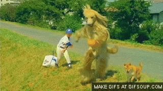 japonés,anuncio,falso,perro,jugar,tirar,pelota,niño