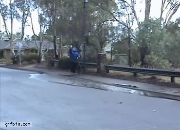 perro,pasear,duchar,ba&ntilde;ar,agua,mojar,gratis,ducha,charco