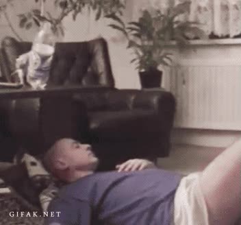 verter,volcar,levantar,agua,susto,despertar,comer,loro