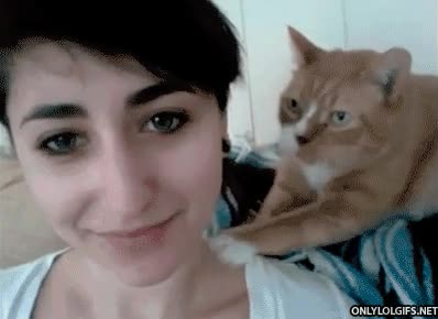 preocuparse,chica,estrés,tensa,gato,masaje
