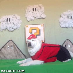 seta,nintendo,mario bros,perro,crecer,hongo