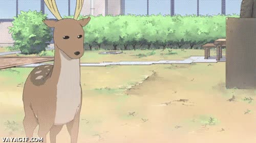 nichijou,cazar,ciervo,atacar,manos,anime