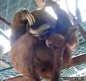 perezoso,confusi&oacute;n,pensar,rascarse,dudas,expresion