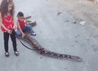 Ni&ntilde;os,Hermanos,Jugar,Peligro,Serpiente,Enorme,Vivora,Mascota,A pasear