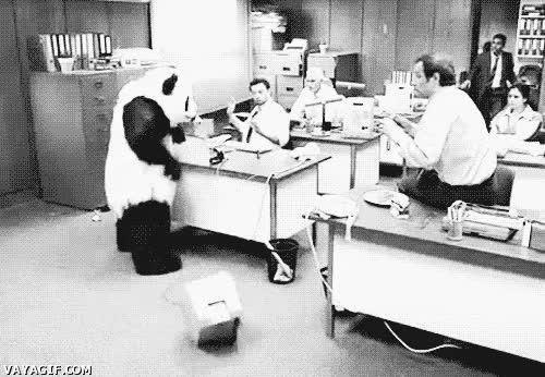 oficina,ordenador,oso panda,destrozar,romper,decir no