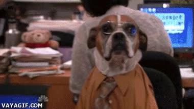 jefe,oficina,perro,trabajo,hijo de perra,literal,the office