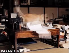 desordenar,papeles,gato,saltar,mesa,revolver