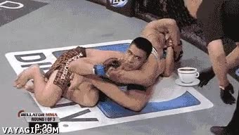 ofrecer,cafe,Boxe,gif,chino,japones,coreano