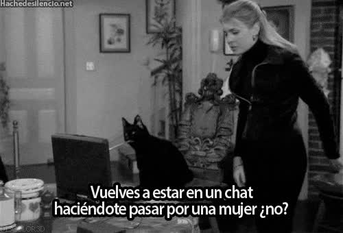 sabrina,bruja,tv,salem,gato