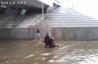 Héroe del día: perro empujando una silla de ruedas durante una inudación heroe,perro,inundacion,ayuda,empujar,silla de ruedas,minusvalido