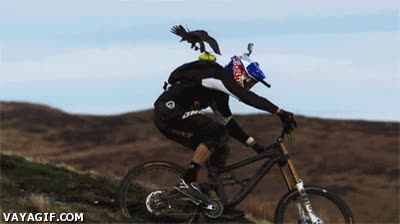 redbull,alas,aguila,bici