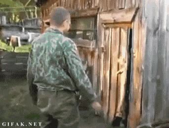 Cerrar,Cabina,Casa,Puerta,Perro