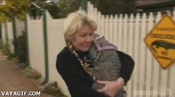 bolsos,pasear,correa,collar,mascota,cocodrilo