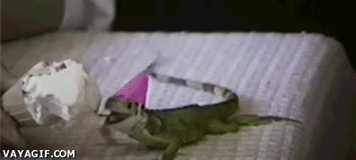 Dios,lagartija,reptil,helado,cumplea&ntilde;os,lagarto,fiesta