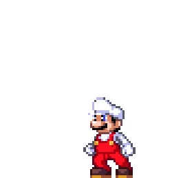 pinguino,flor de fuego,fuego,mario bros,seta,crecer,mapache