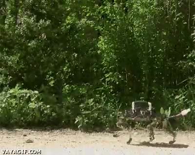 mainstream,robot,perro,pasear,cadena,robotico,bionico