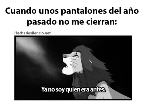 pantalones,simba,crecer,a&ntilde;o pasado,engordar