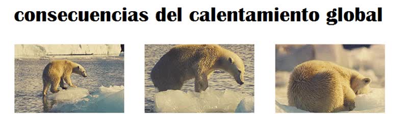 triste,osos polares,frió,calor,calentamiento global,agua