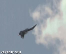 Los peligros del viento fuerte cuando pilotas un caza recuperar,viento,avión,equilibrio,suerte,vuelo