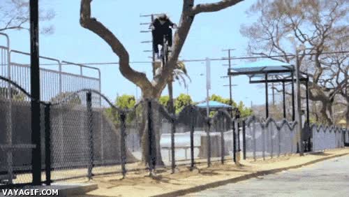 acrobacia,arbol,bicicleta,salto,maestro,skate park