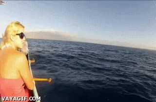 catamaran,susto,mar,naturaleza,belleza,miedo,ballena