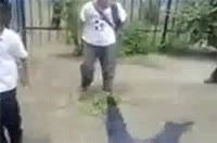 pelea,puñetazo,ko,noquear,niños pequeños,derechazo
