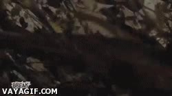 acuatica,hostia,caida,paseo,matorral,agua,moto,fail,tonto