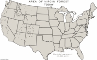 1620,1850,1926,ahora,bosques,eeuu,usa,zonas boscosas