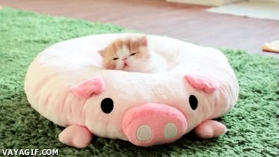 Enlace a Qué guay, ya ha empezado el Tour de Francia... ZZZzzzzZZZ