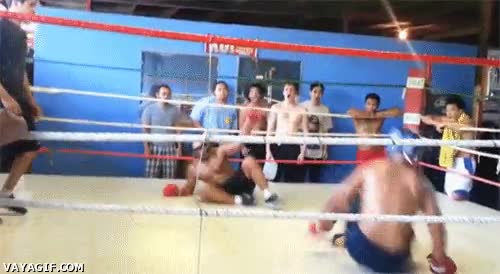 boxeadores,doble ko,puñetazo,ring,pelea