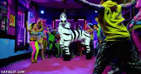 cebra,baile,lmfao,bailar,fiesta,shuffling