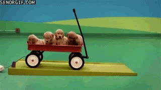 Hay maneras más sencillas de dar de comer a tu perro, pero mola carro,bolas,fichas,perro,anuncio,pelota,efecto domino