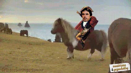 Actualidad,Pony,Caballero,Corcel,Corrupción,Aznar,PP