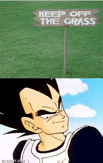 Cuando eres un malote de verdad como Vegeta, puedes hacer lo que te de la gana vegeta,Romper reglas,Cesped,Pisar,Cartel,Arrancar hierba,dragon ball